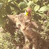 yisel.garcia57