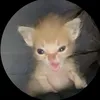 xxilouuu