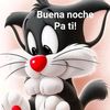 joseparedes8482