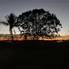 lauzinha867