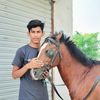 cheemasab403