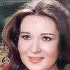 nour3309