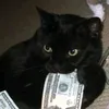 bella_12731o