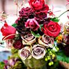 israa123_5