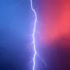 political.argues