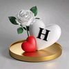 hafsat1689