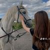 .stella082