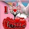 user4909852284721