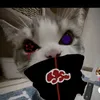 mit_iu48