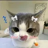 npoc.meo