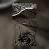 doja0.8