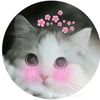 cute.girl00857