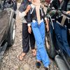 windi.indri8