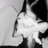 cazy196