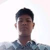 nedfis