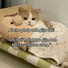 truc.linh315