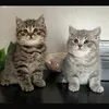 Sid and Fred