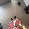 fedupwithlies_
