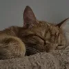 difix.fe