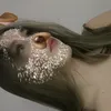 vilkya3