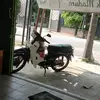 liaaleo6