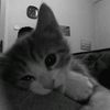 azztin_n