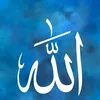 muhammad.ibrahim6621