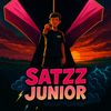 satzz.storee