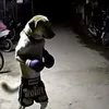 akkaskjdd2