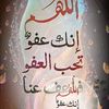 user37159288548026