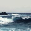 rane_37