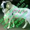 user2548155456959