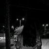 maria_34618