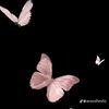 user91780808790665