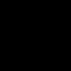 shnn_2009