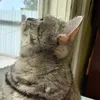 luna_bellaaaaaaaaaaaaaa