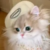 tnhi_zuizui