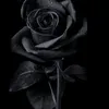 kohiiiii_rhyyy8