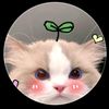 mgphyo3655