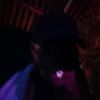 user138816856301