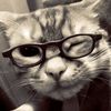 kittiyapon149