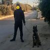 hamouda.hamouda132
