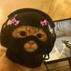 amber.thegreat