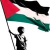 syed.ali9513