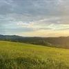 bgd_narkoman