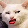 hoangthinhuquynhf