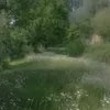 sashok_3546