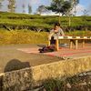 cah.sindoro