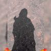 fahima5761