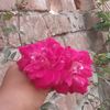 user24098173600431